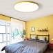 Потолочный Светильник Disc Half D26 White Imperiumloft 193124-26 - фото