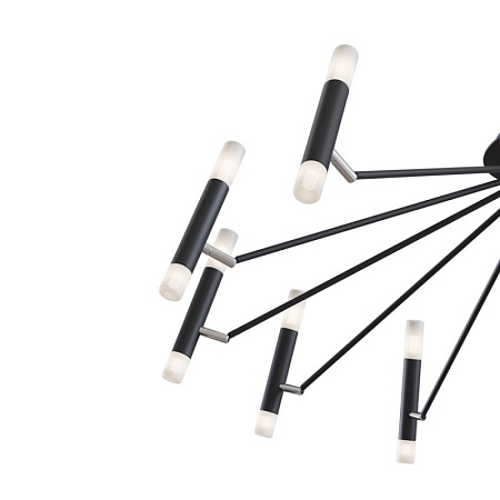Потолочный светильник Maytoni Vigo MOD620CL-24B - фото