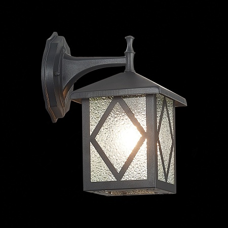 Светильник уличный настенный ST-Luce Черный/Черный, Прозрачный E27 1*60W SL084.411.01 - фото