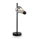 Настольный светильник Freya Evidence  FR5372TL-01B - фото