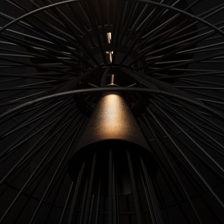 10141/400 Black Подвесной светильник LOFT IT Star - фото