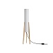 Напольный светильник (торшер) Freya FR5543FL-01T - фото