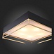 Светильник потолочный ST-Luce Черный, Матовое золото/Белый E27 5*40W SL1127.422.05 - фото
