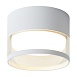 Потолочный светильник Voltega VGL7232DL-01W - фото