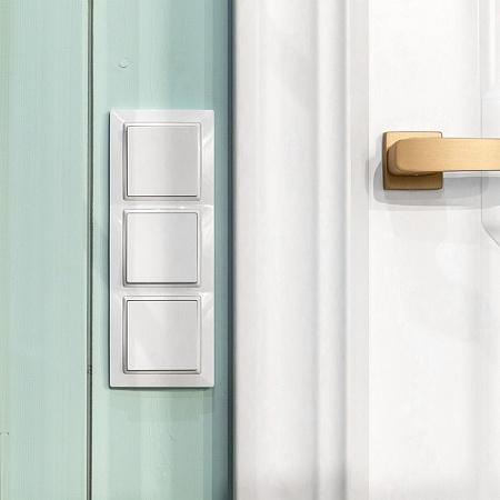 Выключатель одноклавишный белый WL01-SW-1G - фото