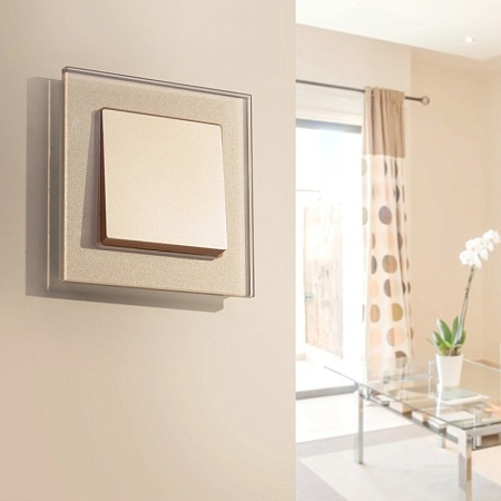 Выключатель одноклавишный шампань WL11-SW-1G - фото