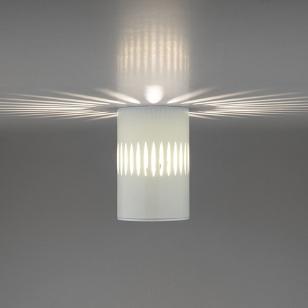 Накладной светодиодный светильник DLS026 - фото