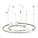 10155/1100 Gold Подвесной светильник LOFT IT Infinite - фото