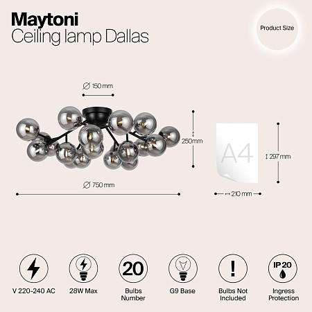 Потолочный светильник Maytoni Dallas MOD545CL-20B - фото