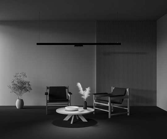 Трековый светильник Technical Points rot TR033-2-12W2.7K-B - фото