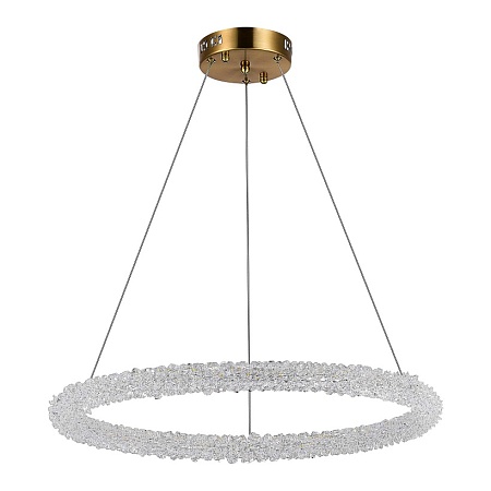 Люстра подвесная ST-Luce Золотистый/Золотистый LED 1*35W 3000 - 6500K SL6110.213.01 - фото