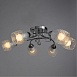 Потолочная люстра ARTE LAMP A6055PL-6CC - фото