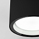 Уличный потолочный светильник Light 26231 IP54 35144/H черный Elektrostandard - фото