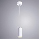 Точечный подвесной светильник Arte Lamp CANOPUS A1516SP-1WH - фото