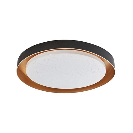 Потолочный светильник Arti Lampadari Vista L 1.13.48 B - фото