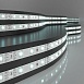 Комплект светодиодной ленты 12 В 4,8 Вт/м 60 Led/м 2835 IP20, холодный белый свет 6500К, 5 м Набор светодиодной ленты 12V 4,8W 60Led 2835 IP20 холодный белый, 5м Elektrostandard - фото