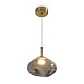 Подвесной светильник Freya FR5601PL-01GR - фото