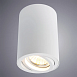 Точечный накладной светильник Arte Lamp SENTRY A1560PL-1WH - фото