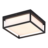 Светильник уличный потолочный ST-Luce черный/белый LED 1*20W 3000K/4000K/5000K SL9517.402.01