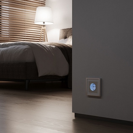 Розетка с подсветкой (айвори матовый) W1171462 - фото