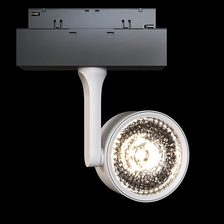 Трековый светильник Technical Track lamps TR024-2-10W3K - фото