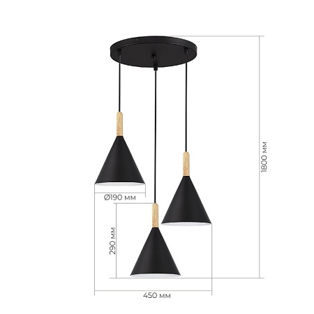 Светильник подвесной Черный/Черный E27 3*40W SLE1255-423-03 - фото