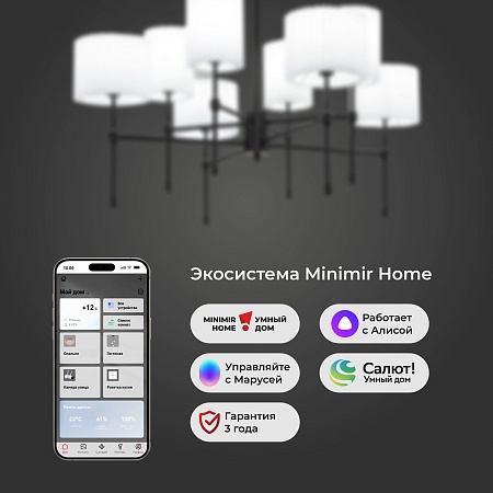 Потолочный светильник Eurosvet 60162/8 черный - фото