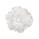 10231/530C White Настенный светильник LOFT IT Clizia - фото