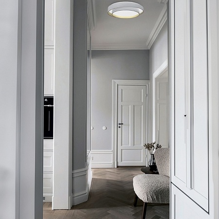 Светильник потолочный Белый/Белый LED 1*50W 3000K/4000K/6000K SLE6009-502-01 - фото