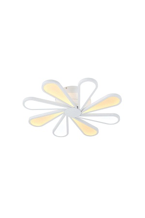 Lucia Tucci Miracoli 201.8 LED - фото