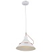 Подвесной светильник Freya Amis FR5025PL-01W - фото