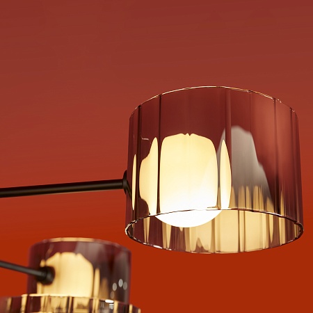 Потолочный светильник Freya FR5544CL-10B - фото