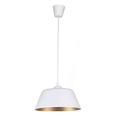 Подвесной акцентный светильник TK Lighting 1704