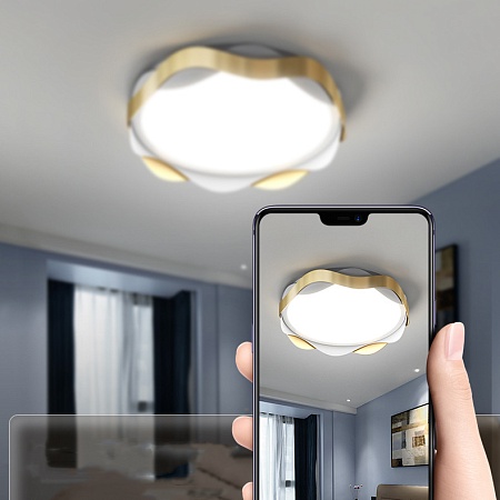 Потолочный Светильник Maaret D50 Black Imperiumloft 223935-23 - фото