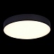Светильник потолочный Черный LED 1*48W 3000K 4 320Lm Ra>85 120° IP20 D400xH55 185-265V ST606.432.48 - фото