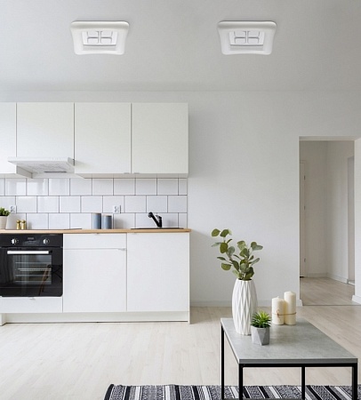 Потолочный светильник  эрида DeMarkt  706010801 - фото