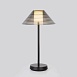 Настольный светильник Mistery TL70210 Elektrostandard - фото