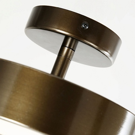 Потолочный светильник F-Promo 3060-2P - фото