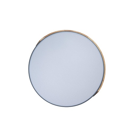 10004/36 Grey Потолочный светильник LOFT IT Axel - фото