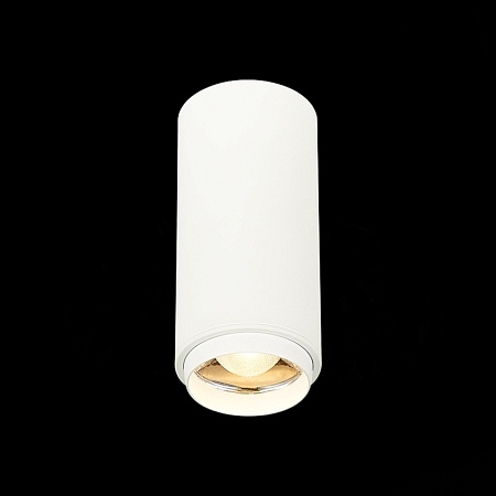 Светильник потолочный Zoom Белый LED 1*10W 3000K 1 000Lm Ra>80 15-60° IP20 D59xH130 170 ST600.532.10 - фото