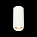 Светильник потолочный Zoom Белый LED 1*10W 3000K 1 000Lm Ra>80 15-60° IP20 D59xH130 170 ST600.532.10 - фото