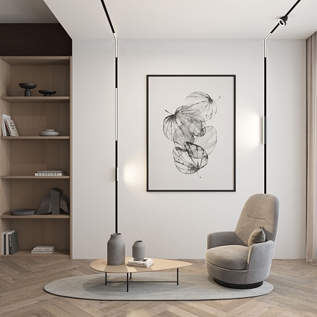 Светильник на шине Denkirs SMART LINEAR DK8014-BK - фото