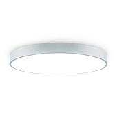 Потолочный светильник Freya FR6129CL-L80GR