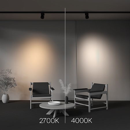 Трековый светильник Technical Alfa TR199-3-15W2.7K-M-B - фото