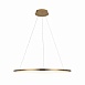 10014L Подвесной светильник LOFT IT Ring - фото
