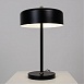Декоративная настольная лампа Arte Lamp SKAT A7052LT-2BK - фото
