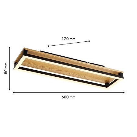 Потолочный светильник F-Promo 4434-2C - фото