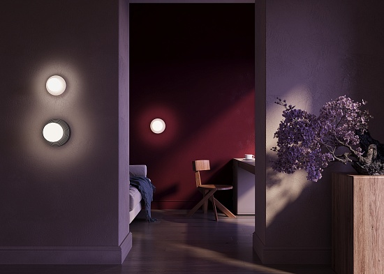 Настенный светильник (бра) Maytoni MOD403WL-01GR - фото