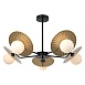 Подвесная люстра Favourite 2356-5P - фото