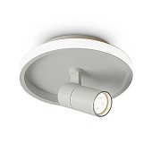 Потолочный светильник Freya FR6040CL-L14W